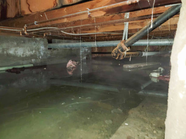 Best Commercial water damage restoration  in Lincoln, CA