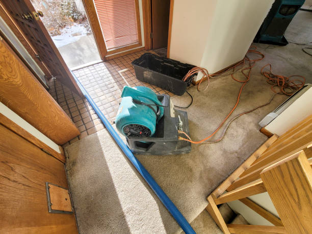 Best Commercial water damage restoration  in Lincoln, CA
