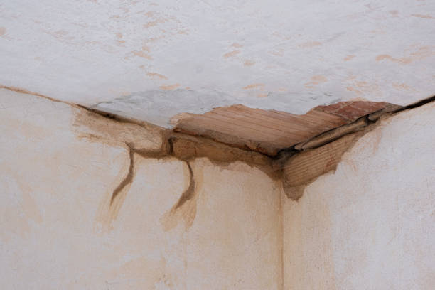 Best Mold removal after water damage  in Lincoln, CA