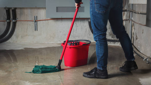 Best Basement water damage restoration  in Lincoln, CA