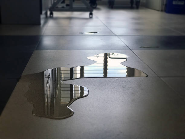 Best Professional water damage repair  in Lincoln, CA