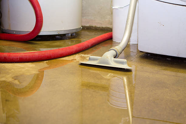 Best Flood damage cleanup  in Lincoln, CA