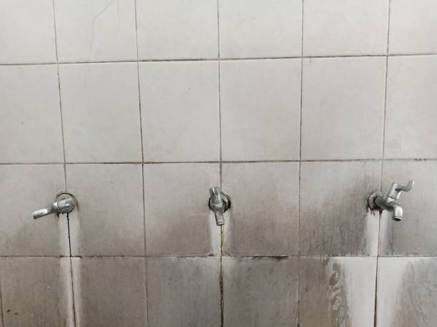 Best Local water damage restoration  in Lincoln, CA