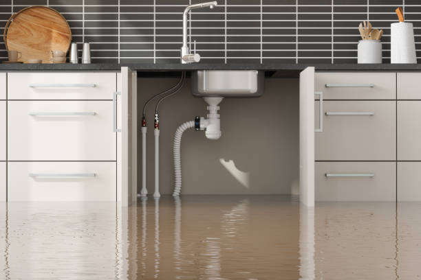 Best Flooded house restoration  in Lincoln, CA