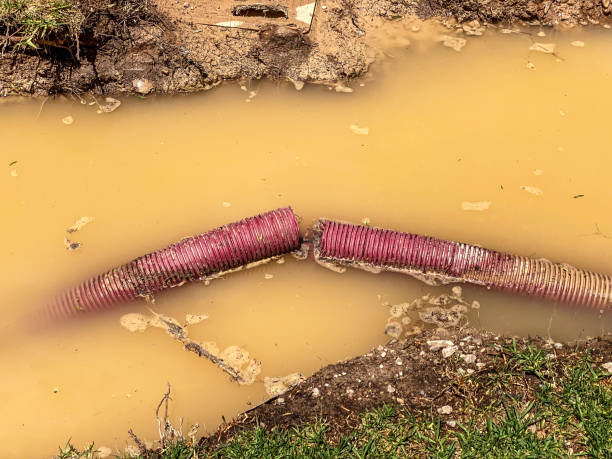 Best Sewage cleanup and water damage restoration  in Lincoln, CA