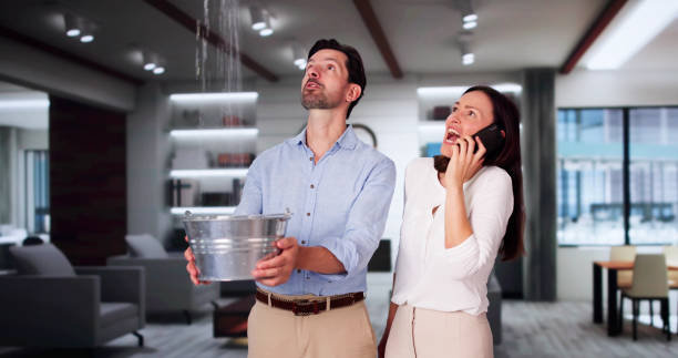 Best Water damage cleanup near me  in Lincoln, CA