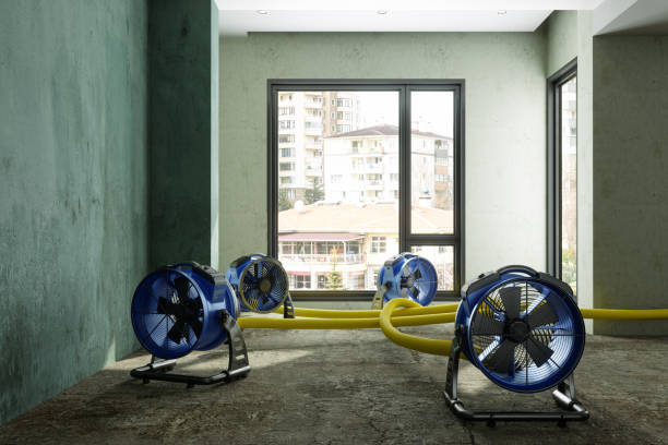 Best Ceiling water damage repair  in Lincoln, CA